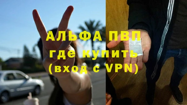 прущие крисы Бородино