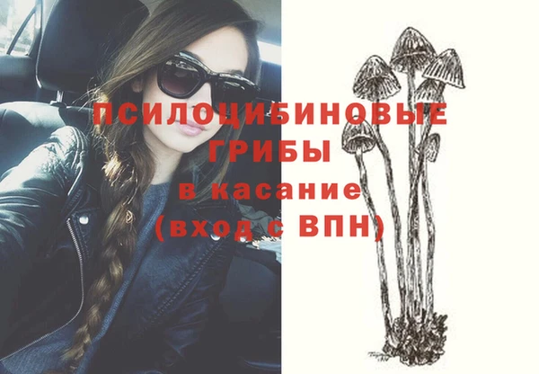 твердый Бронницы