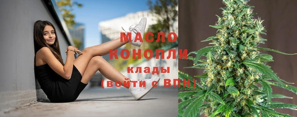 прущие крисы Бородино