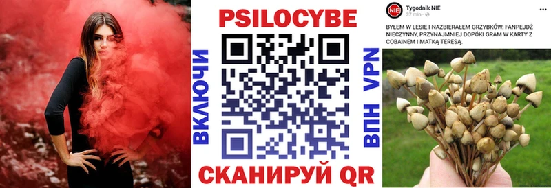 Галлюциногенные грибы Psilocybe  Туапсе 